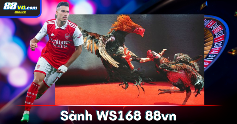 Các loại kèo đá gà phổ biến tại sảnh WS168