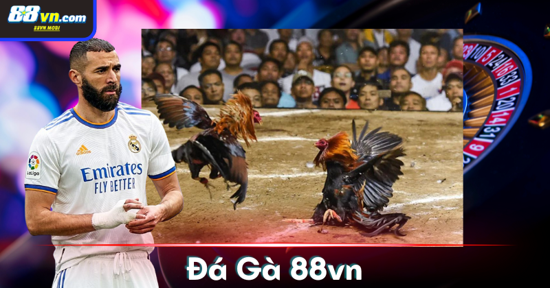 Thiên đường cá cược trực tuyến hot nhất 2024