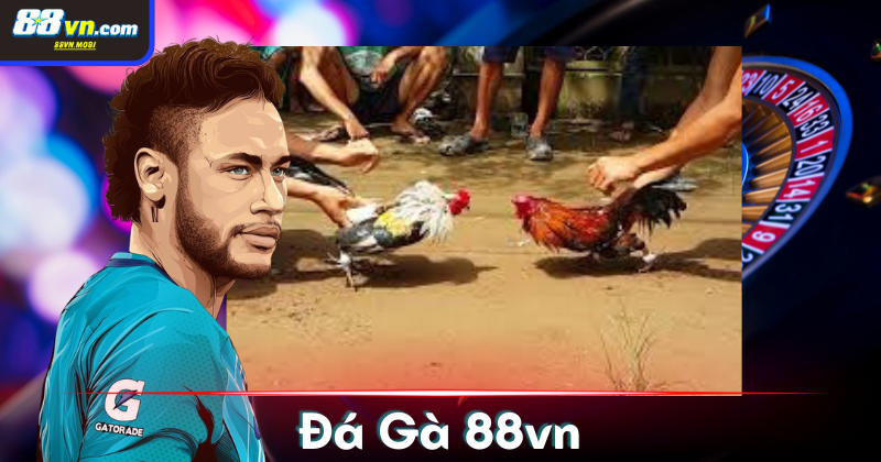 Toplist loại đá gà nổi tiếng nhất hiện nay
