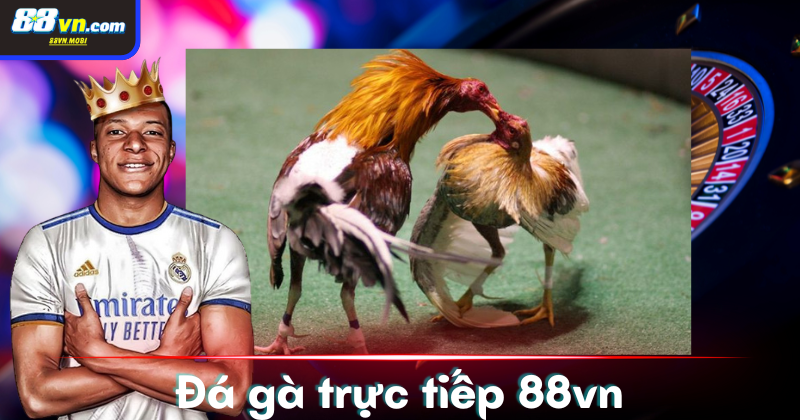 Số lượng các trận đấu diễn ra trong một ngày